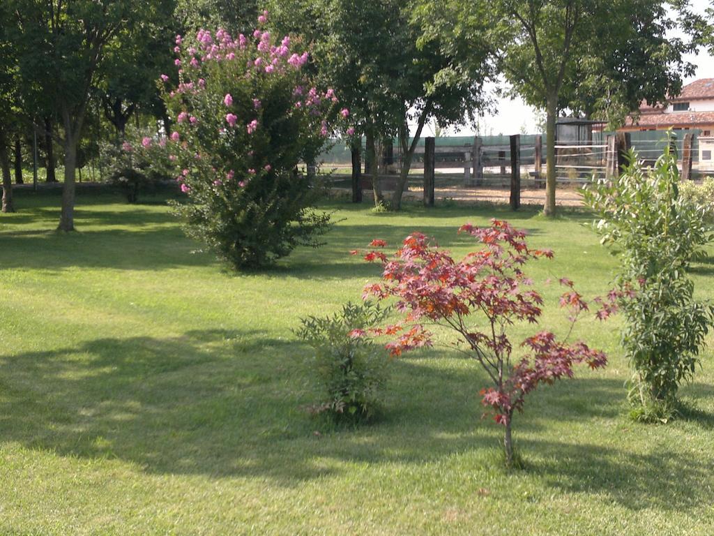 Agriturismo Arte Contadina Fiorenzuola dʼArda Exteriér fotografie